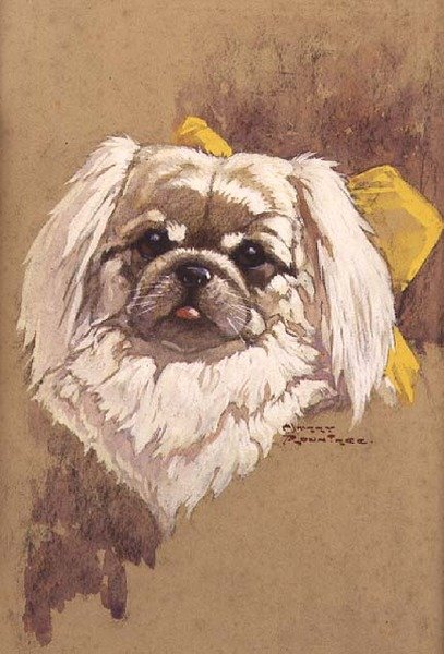 Sněhová královna od Harry Rountree