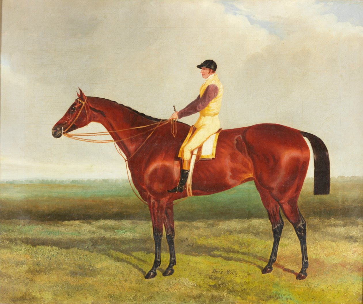 "Včelí křídlo", asi 1840-45 od Harry Hall