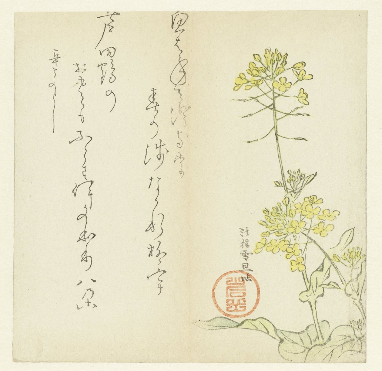 Květiny od Hasegawa Settan