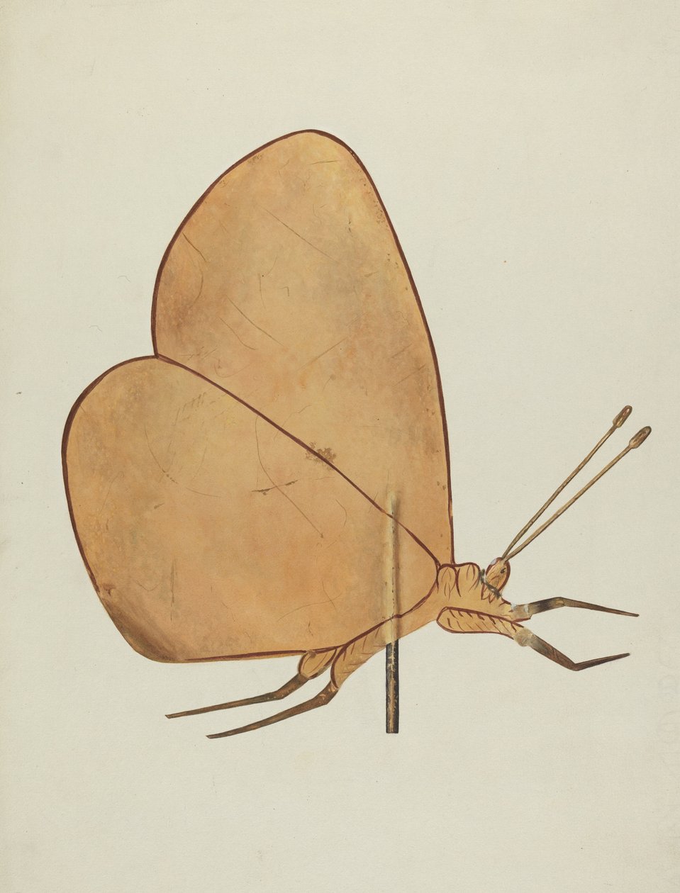 Butterfly Weather Vane, c. 1938. od Hazel Hyde