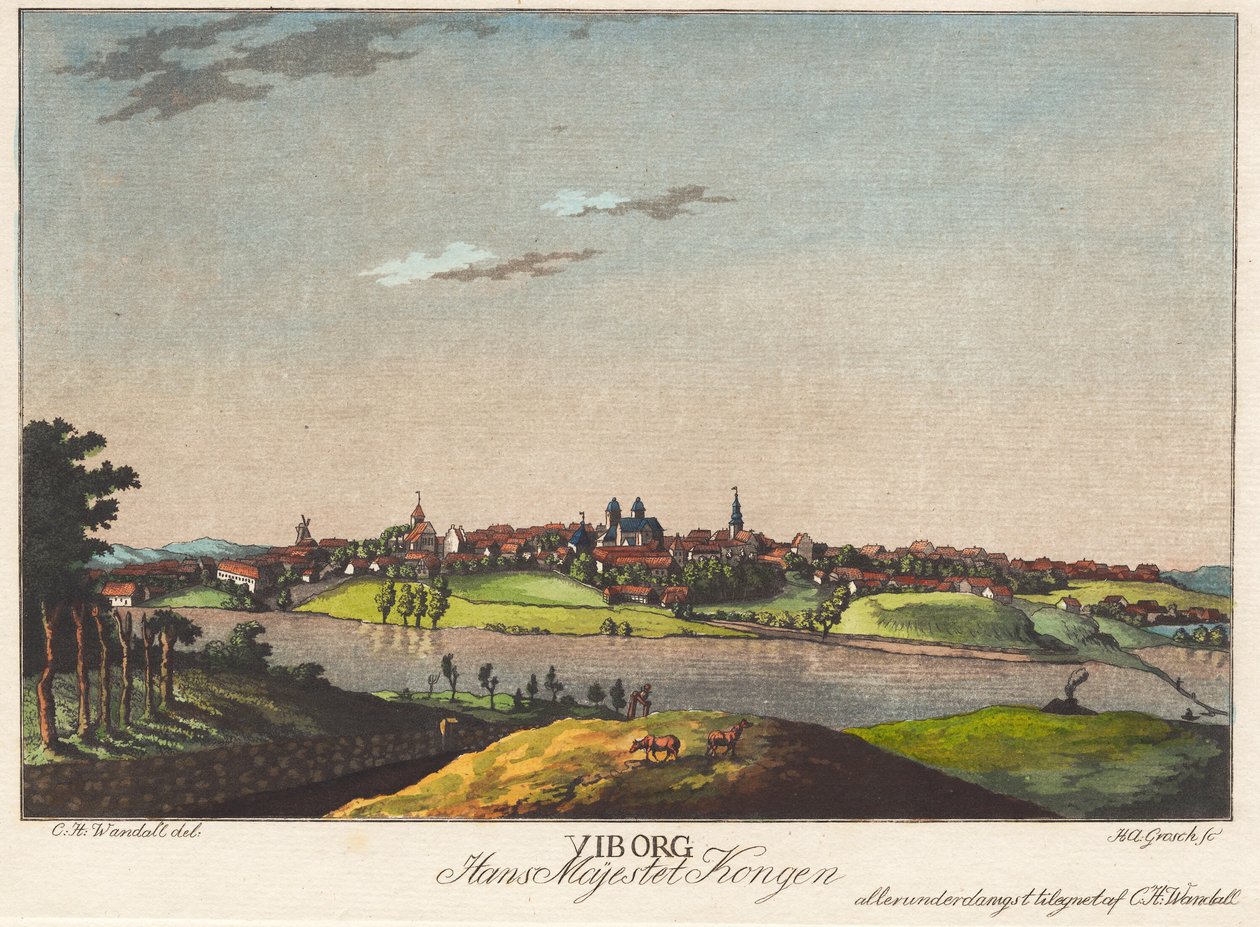 Viborg od Heinrich Grosch