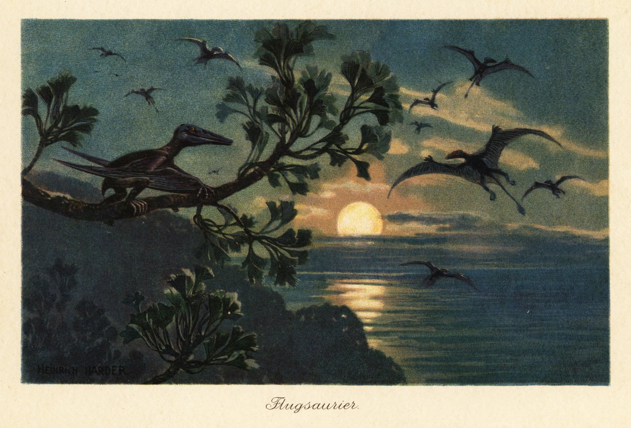 Rhamphorhynchus pterosauři létající v měsíčním světle. od Heinrich Harder