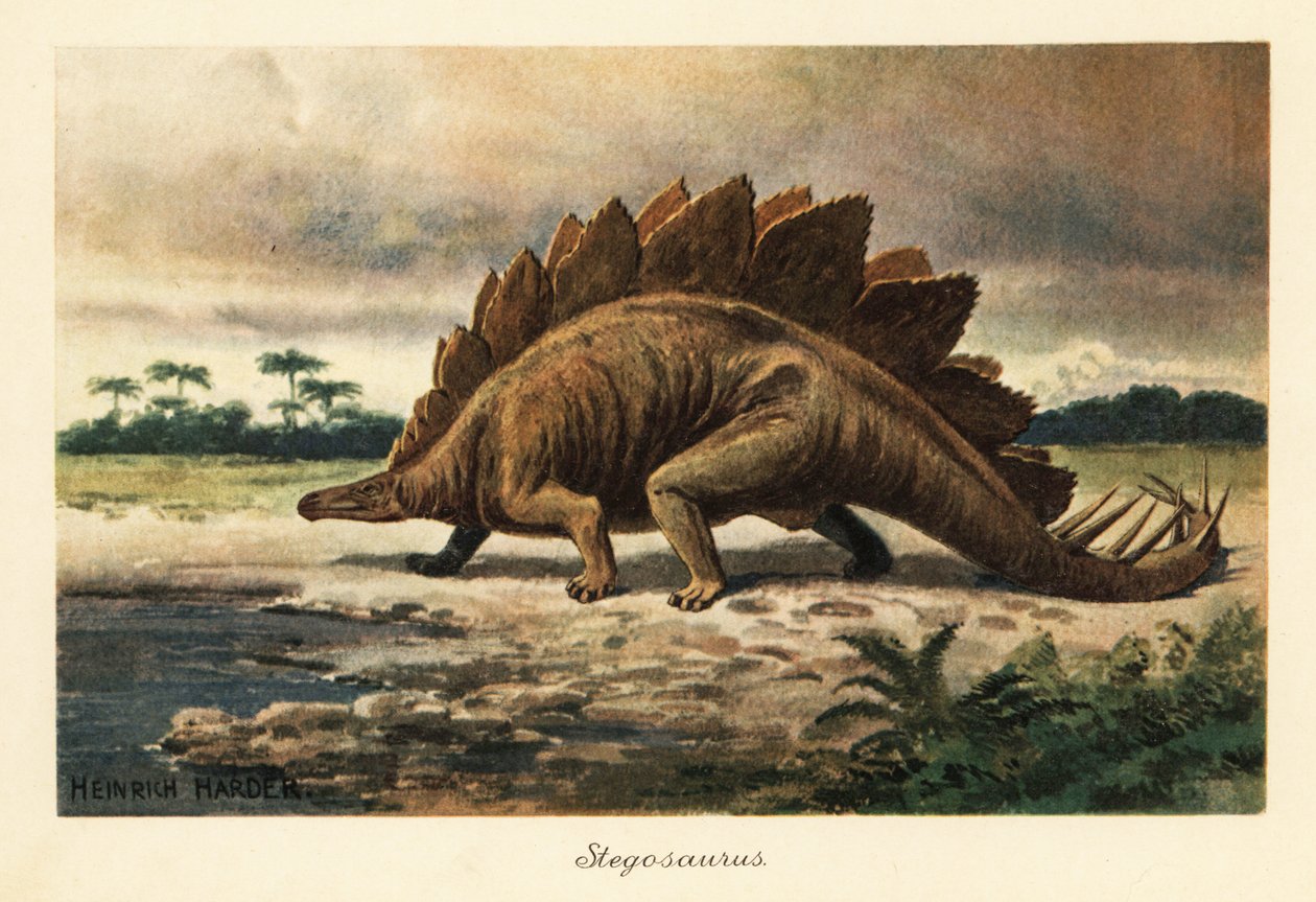 Stegosaurus armatus z pozdní jury. od Heinrich Harder