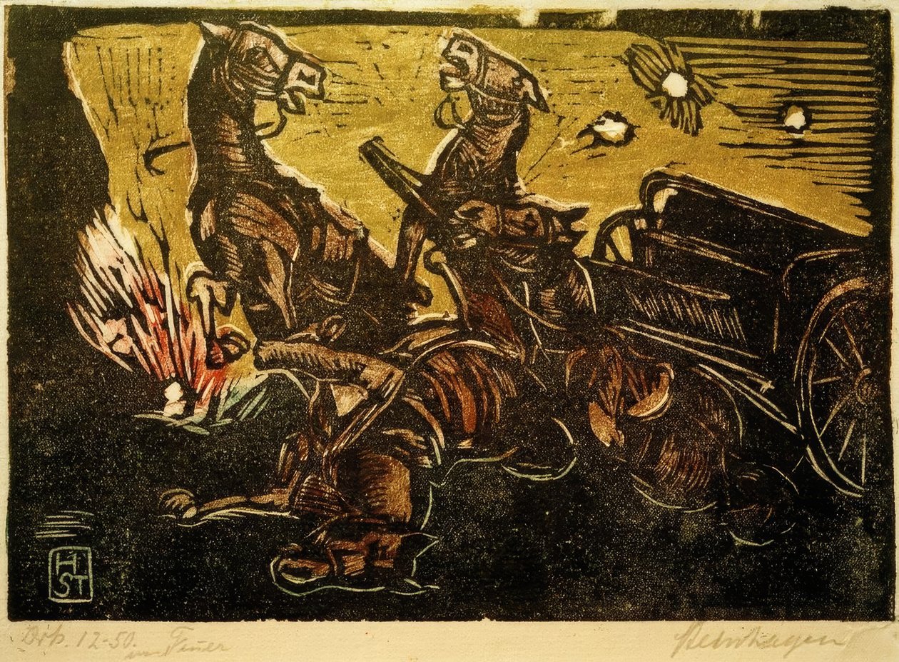 V nepřátelské zemi od Heinrich Steinhagen