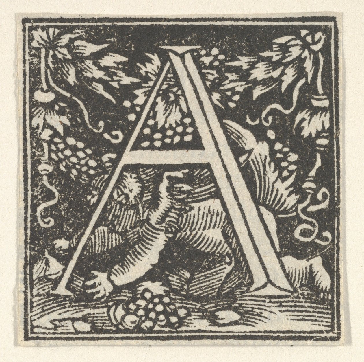 Počáteční písmeno A s putto, ca. 1538. od Heinrich Vogtherr