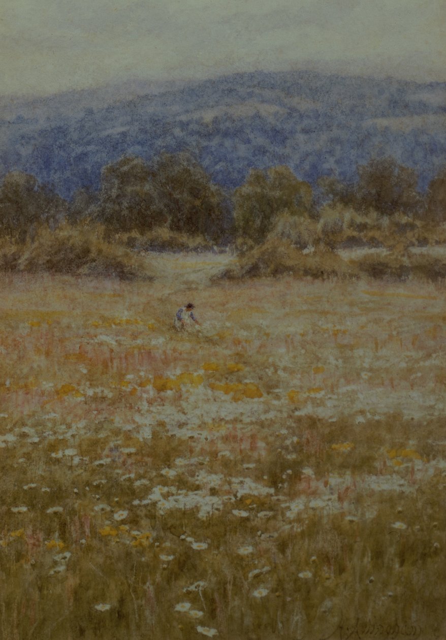 Sbíráme sedmikrásky ve Westerhamu, Kent od Helen Allingham