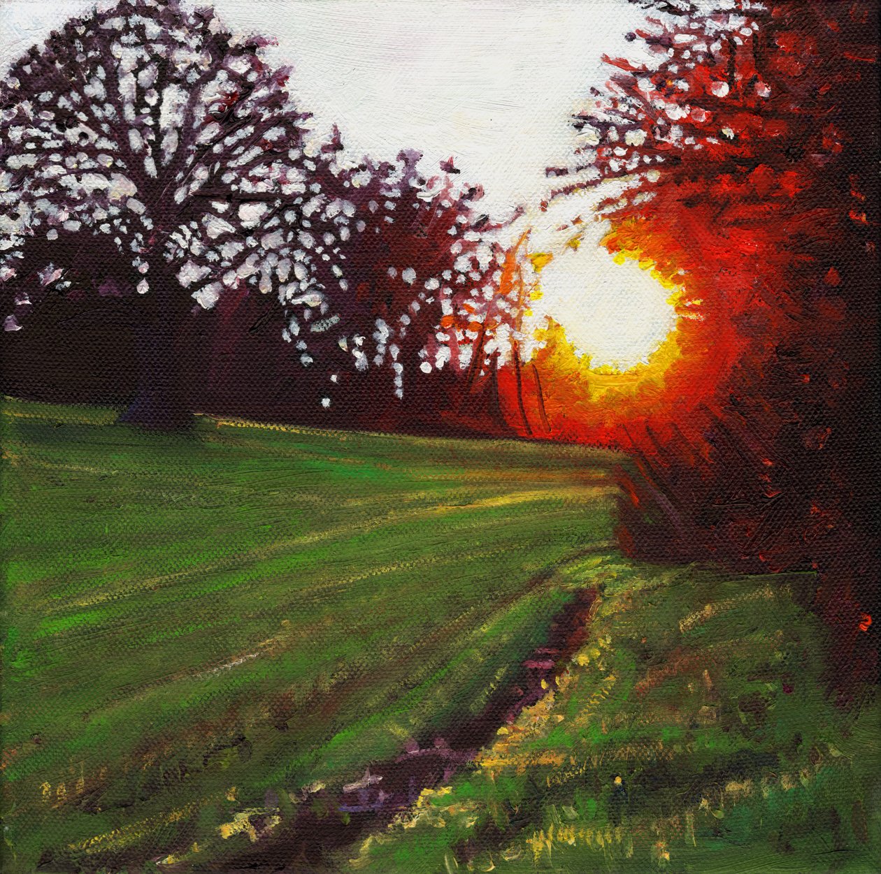 Denní finále, 2013, od Helen White