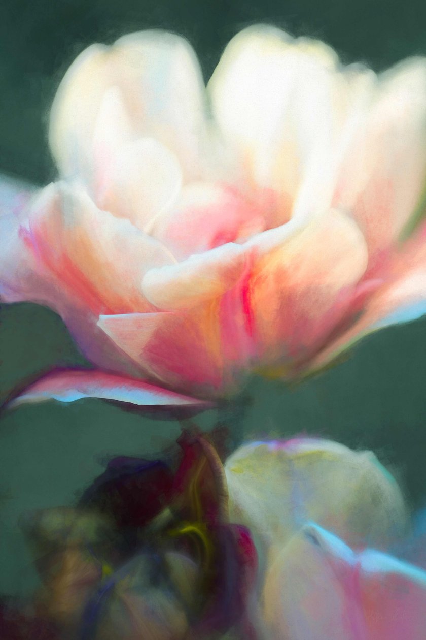 Vznik II, 2018, od Helen White