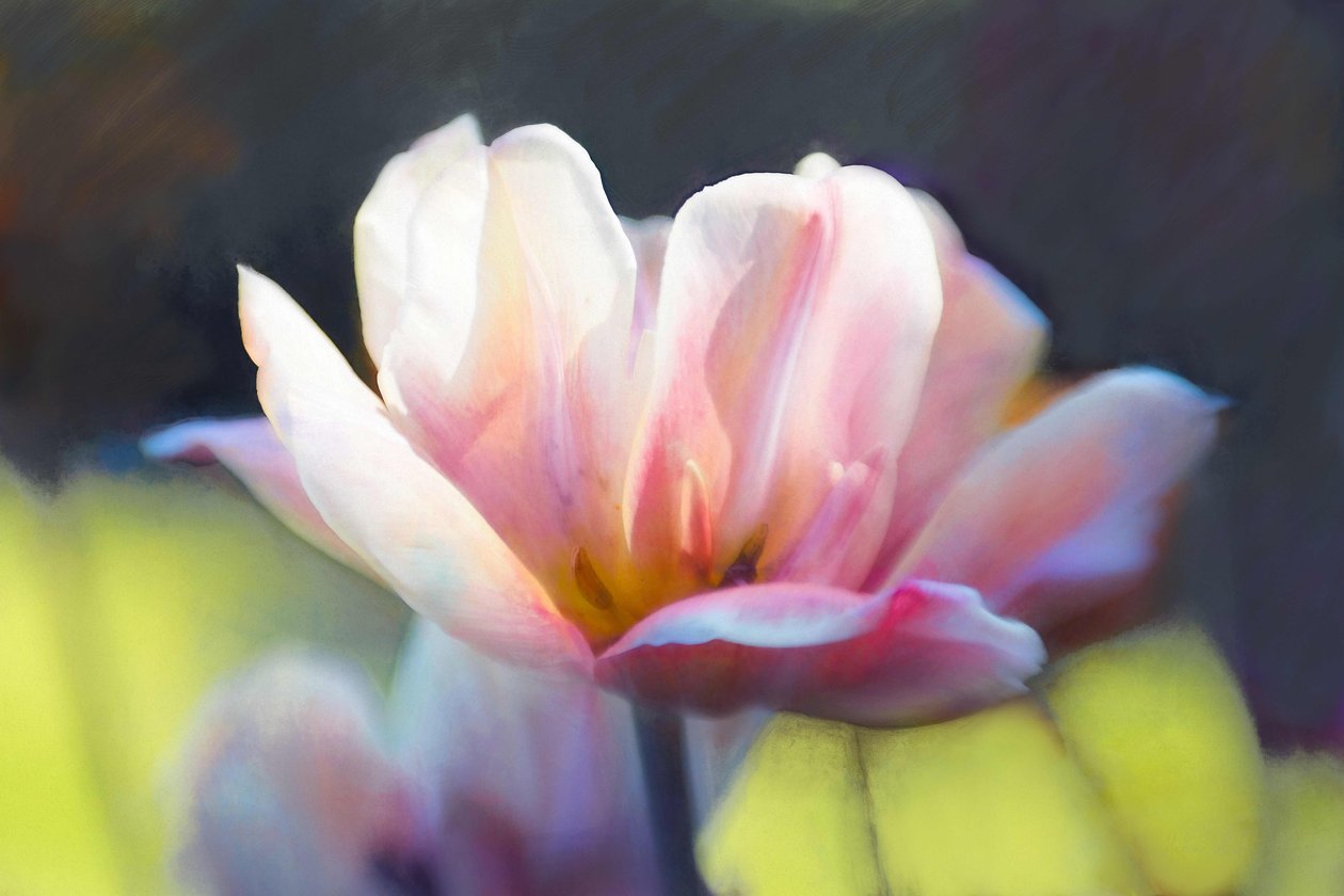 Emergence III, 2018, od Helen White