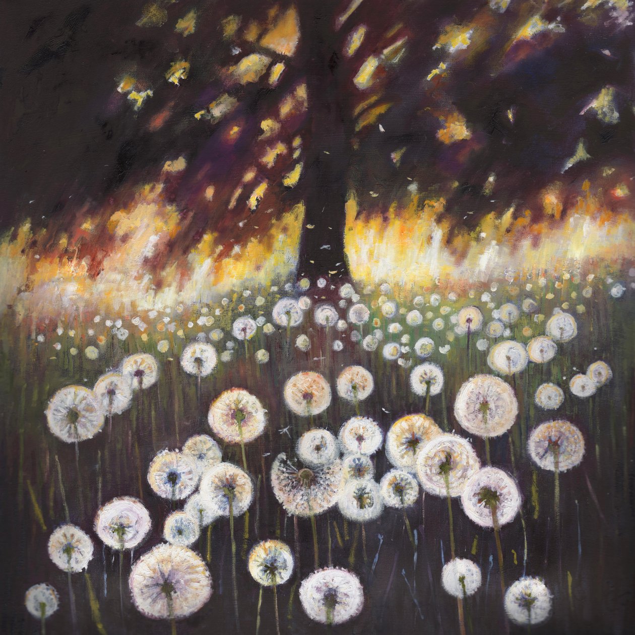 Pole snů, 2015, od Helen White