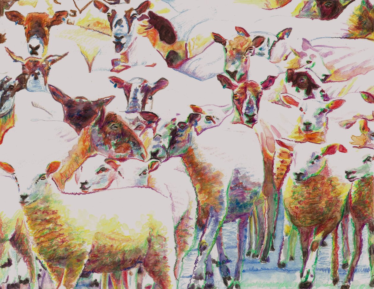 Flock, 2011, (barevné tužky na papíře) od Helen White