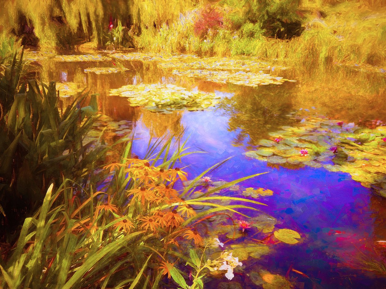 Giverny Waterlilies, 2019, od Helen White