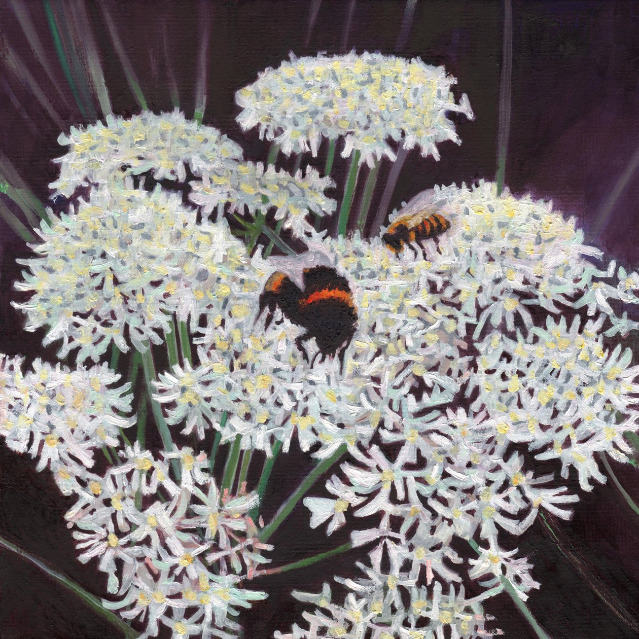 Květenství, 2015, od Helen White