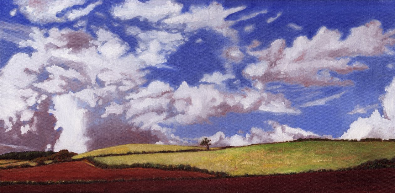 Osamělý strom, 2012, od Helen White