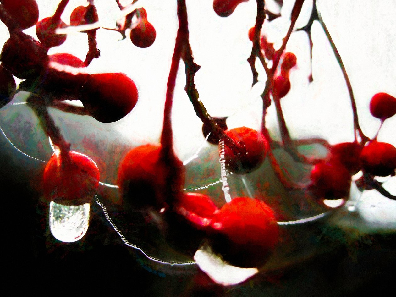 Lush Berries, 2018, od Helen White