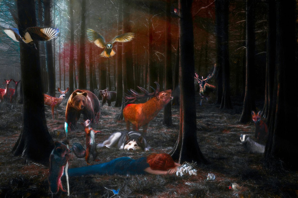 Prosím probuďte se, 2018, od Helen White