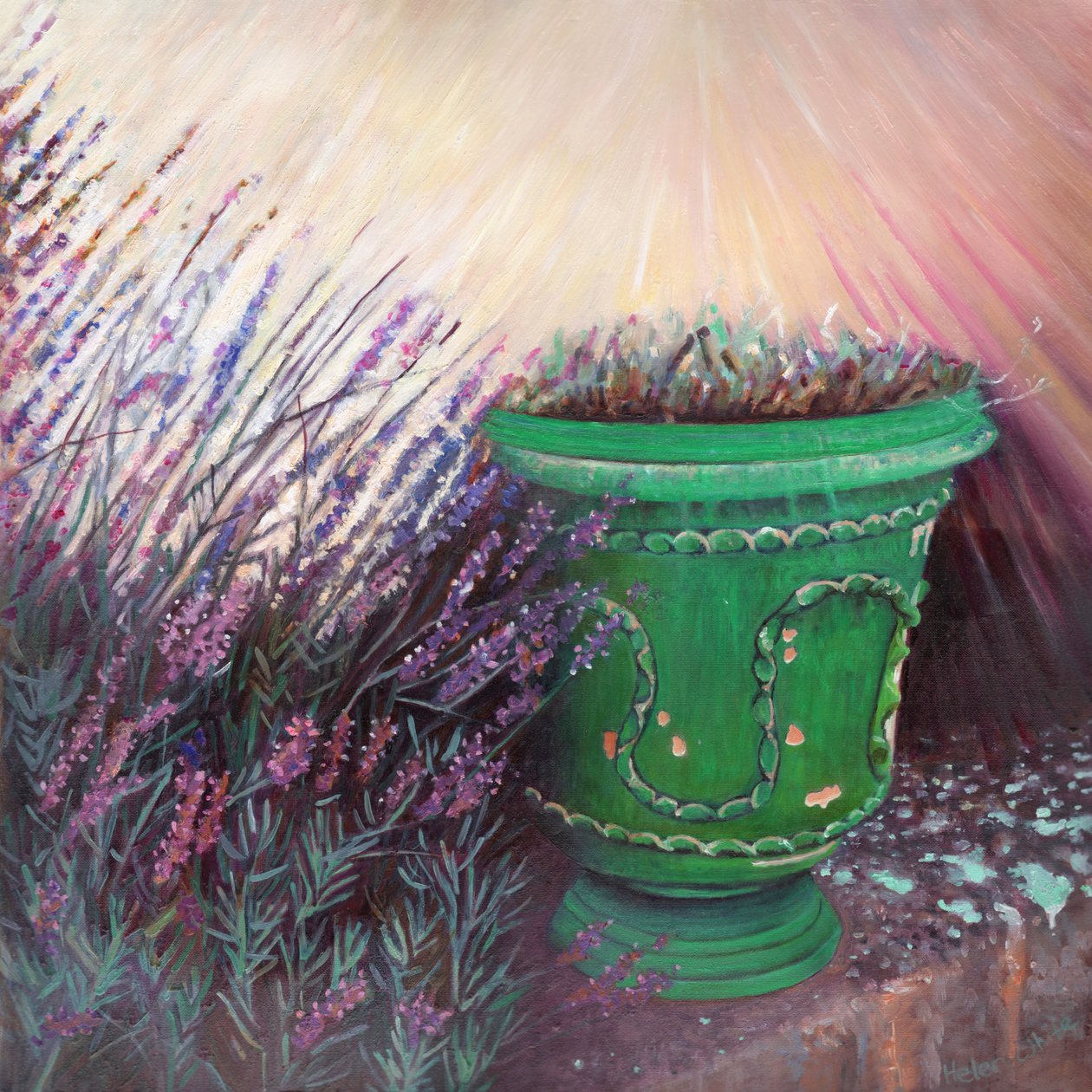 Provensálská zahrada II, 2014, od Helen White