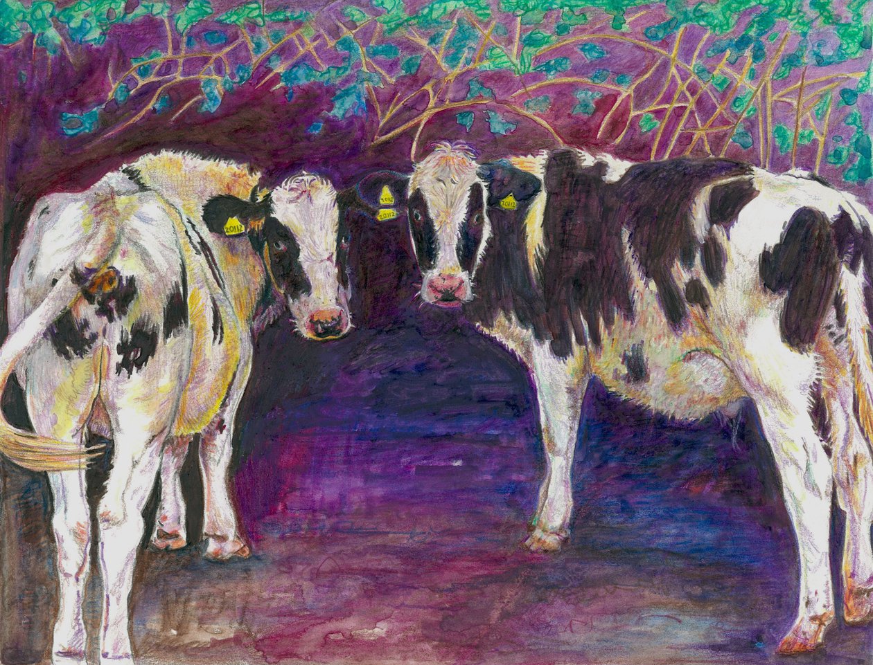 Sheltering cows, 2011, (barevná tužka na papíře) od Helen White