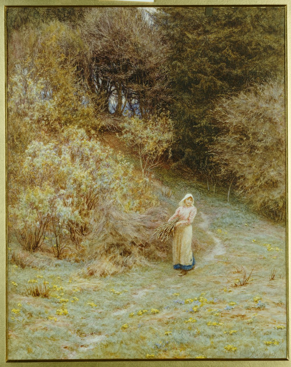 V Primrose Woodu od Helen Allingham