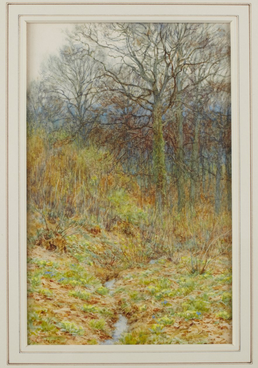 Naše petrklíčové dřevo, 1913 od Helen Allingham