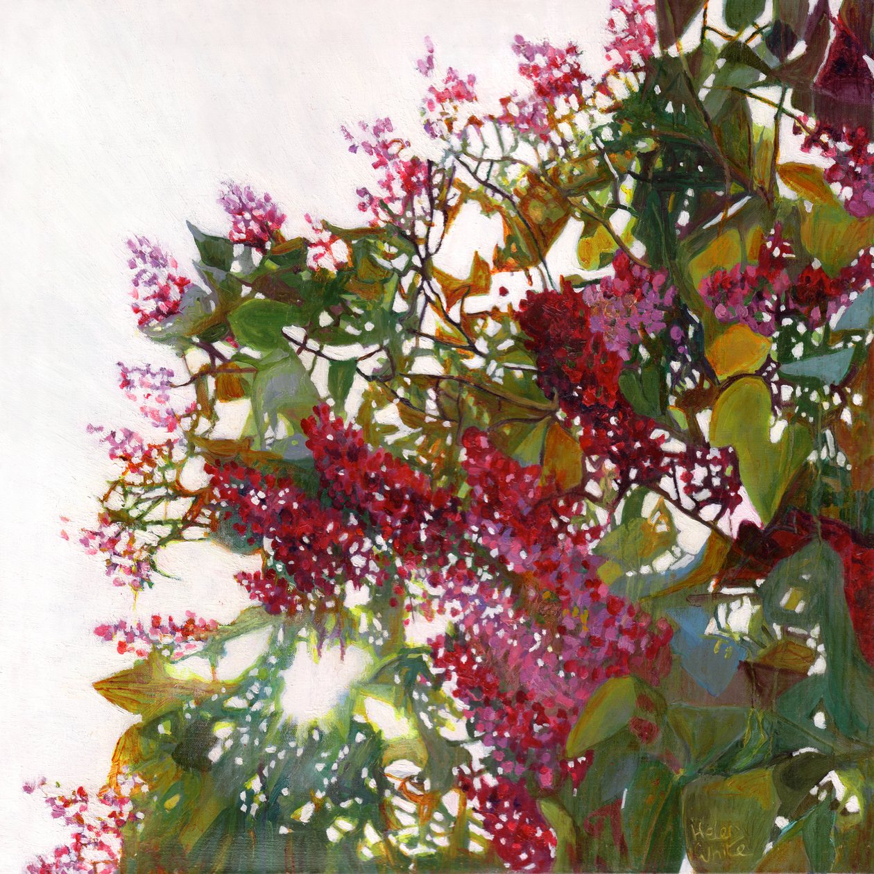 Záře, 2015 od Helen White