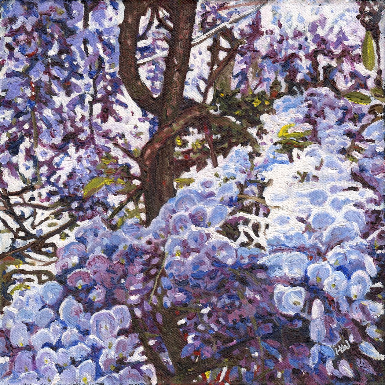 Modrá vistárie, 2012 od Helen White