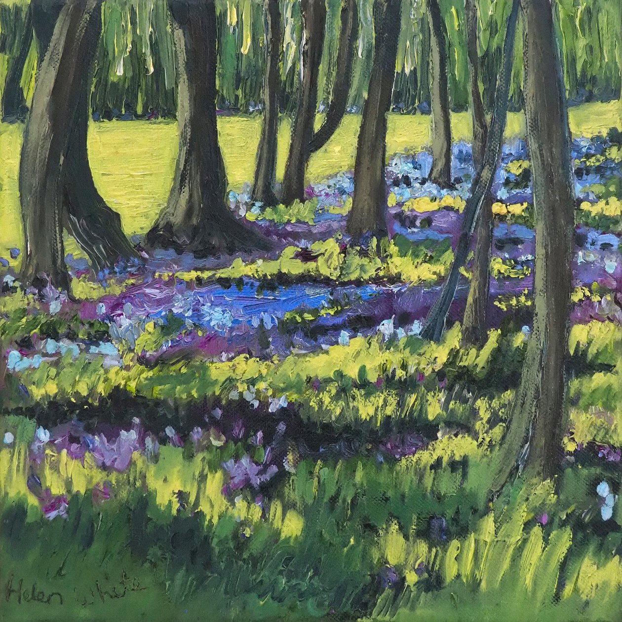 Bluebell Wood, 2008 od Helen White
