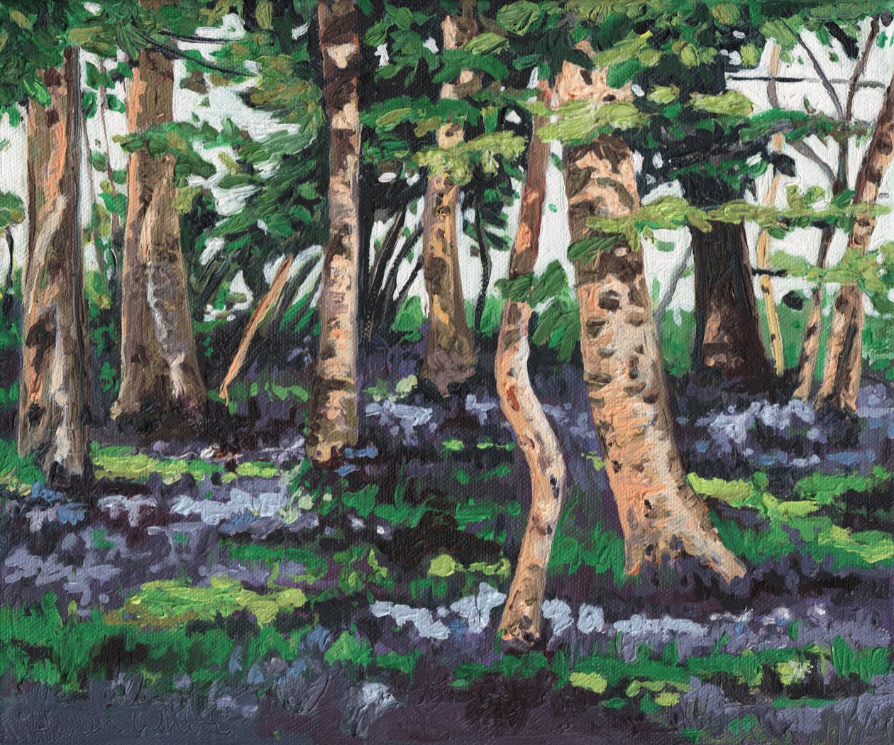 Bluebell wood, 2009, od Helen White