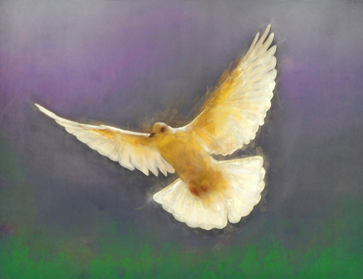 Nositel míru, 2019 od Helen White