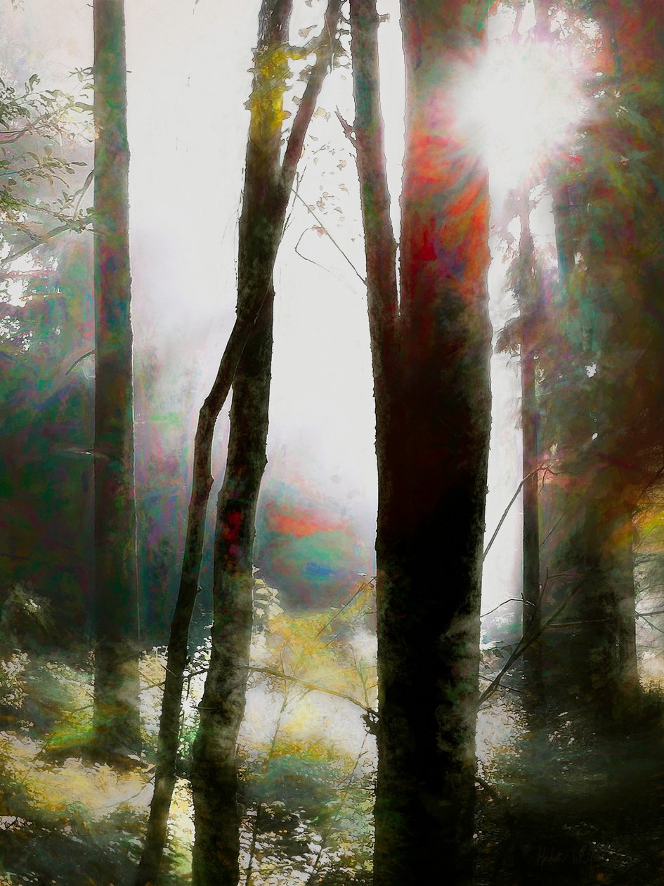 Odvažte se věřit, 2018 od Helen White