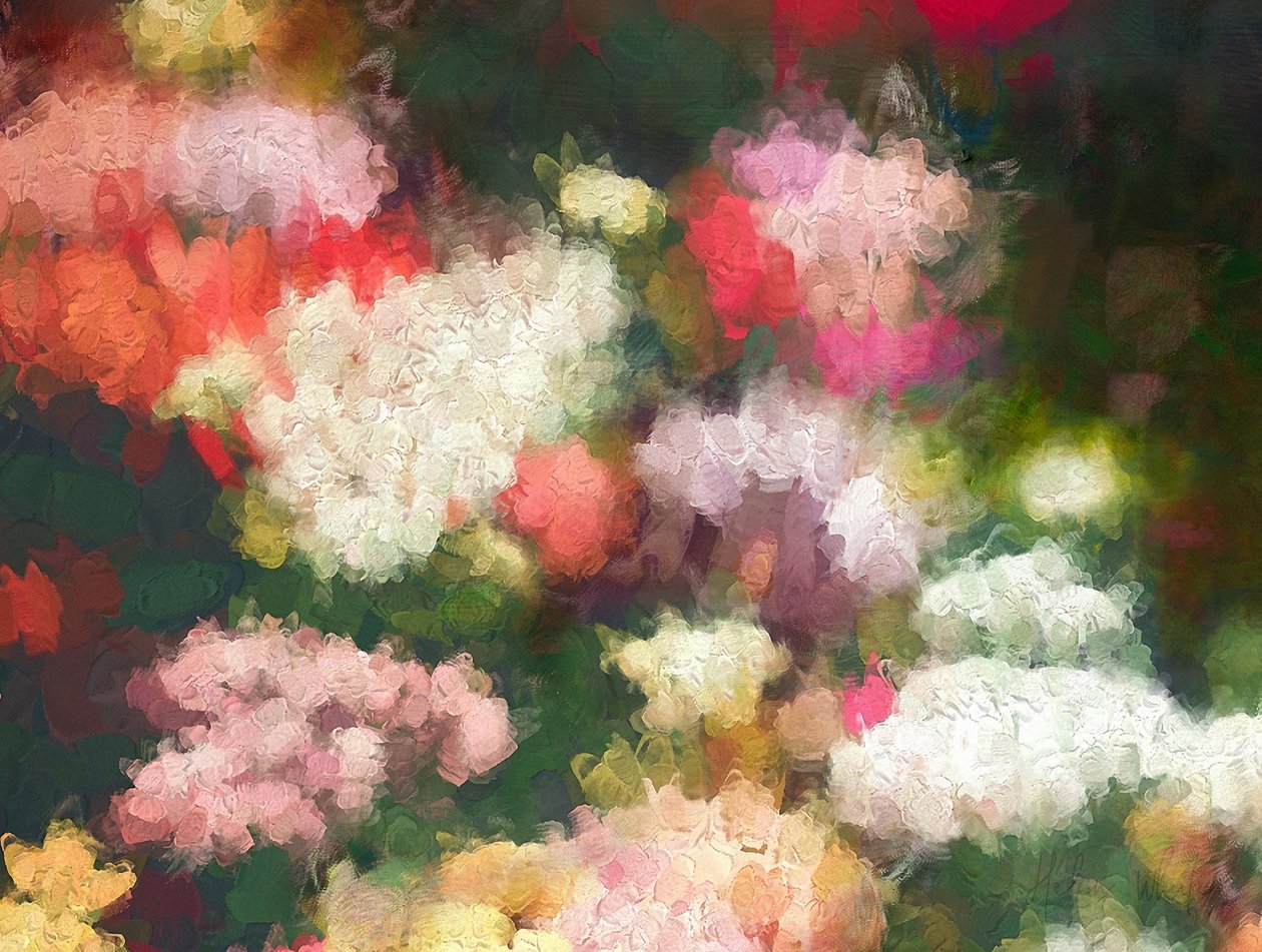 Zahrada srdce, 2018 od Helen White