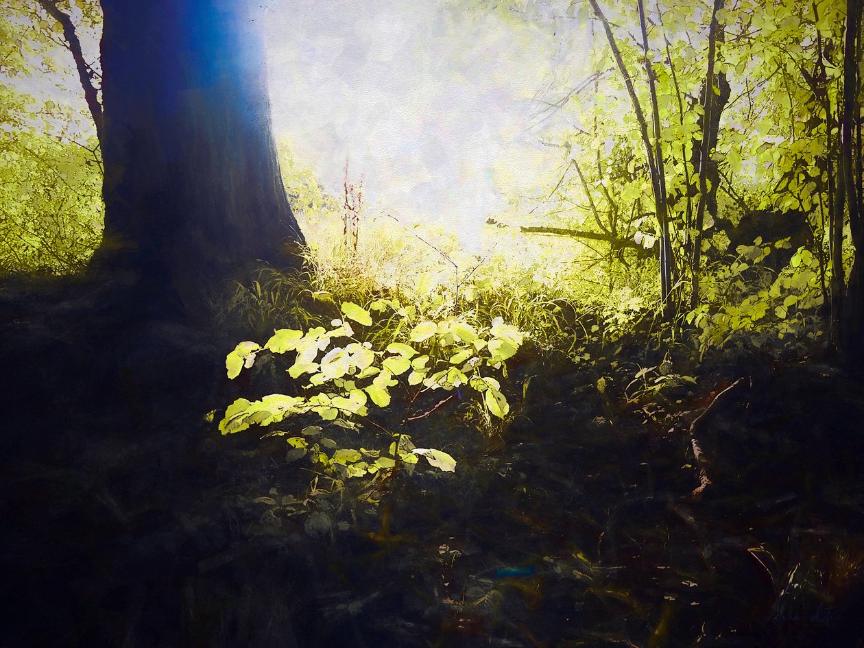 Posvátné místo, 2018 od Helen White