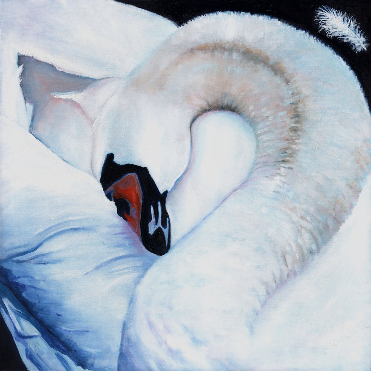 Zaměřeno na srdce, 2016, od Helen White