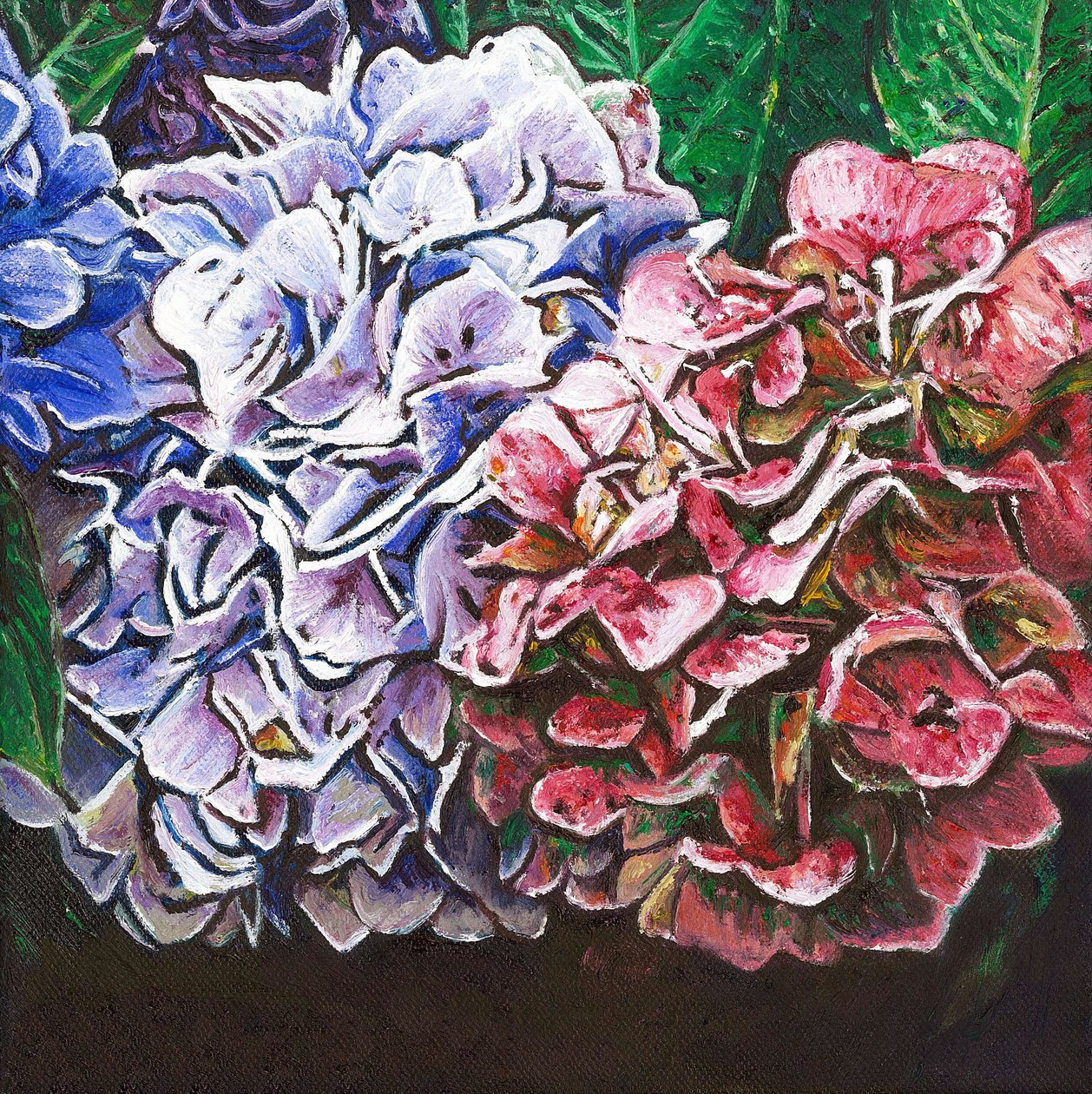 Hortenzie, 2010, od Helen White