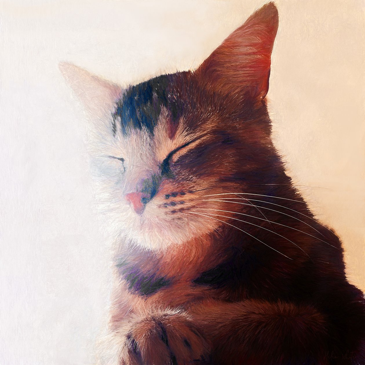 Purr-fect Spot, 2018 od Helen White