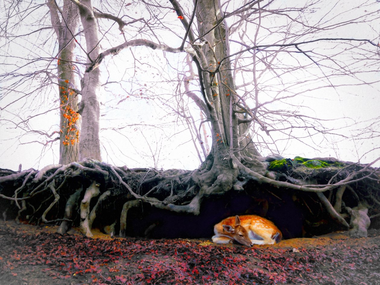 Svatyně, 2018 od Helen White