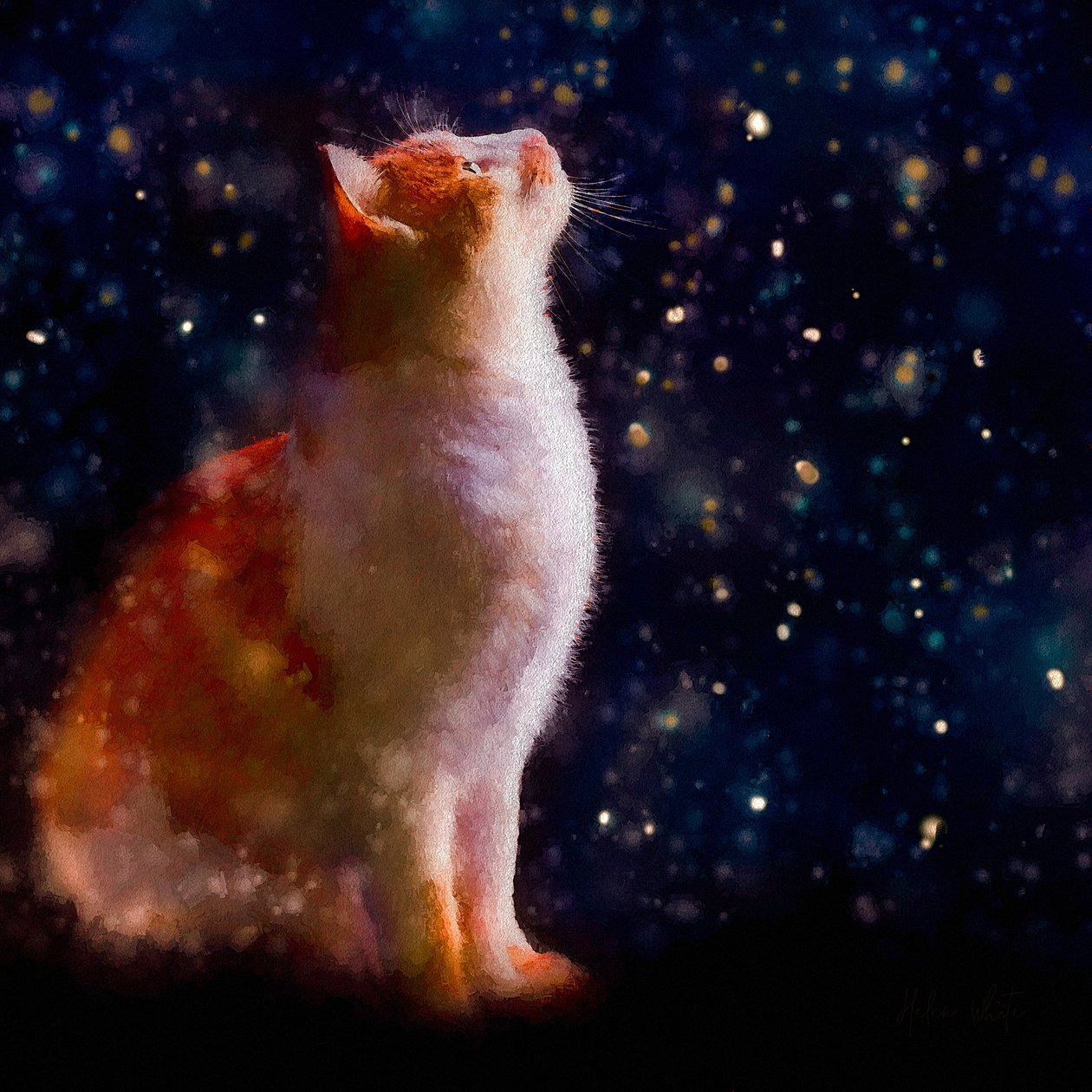 Pozorování sněhu, 2019 od Helen White
