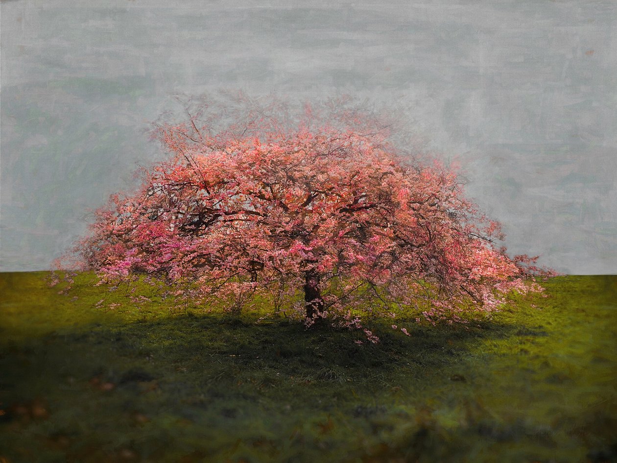Stand Alone Beauty, 2019 od Helen White