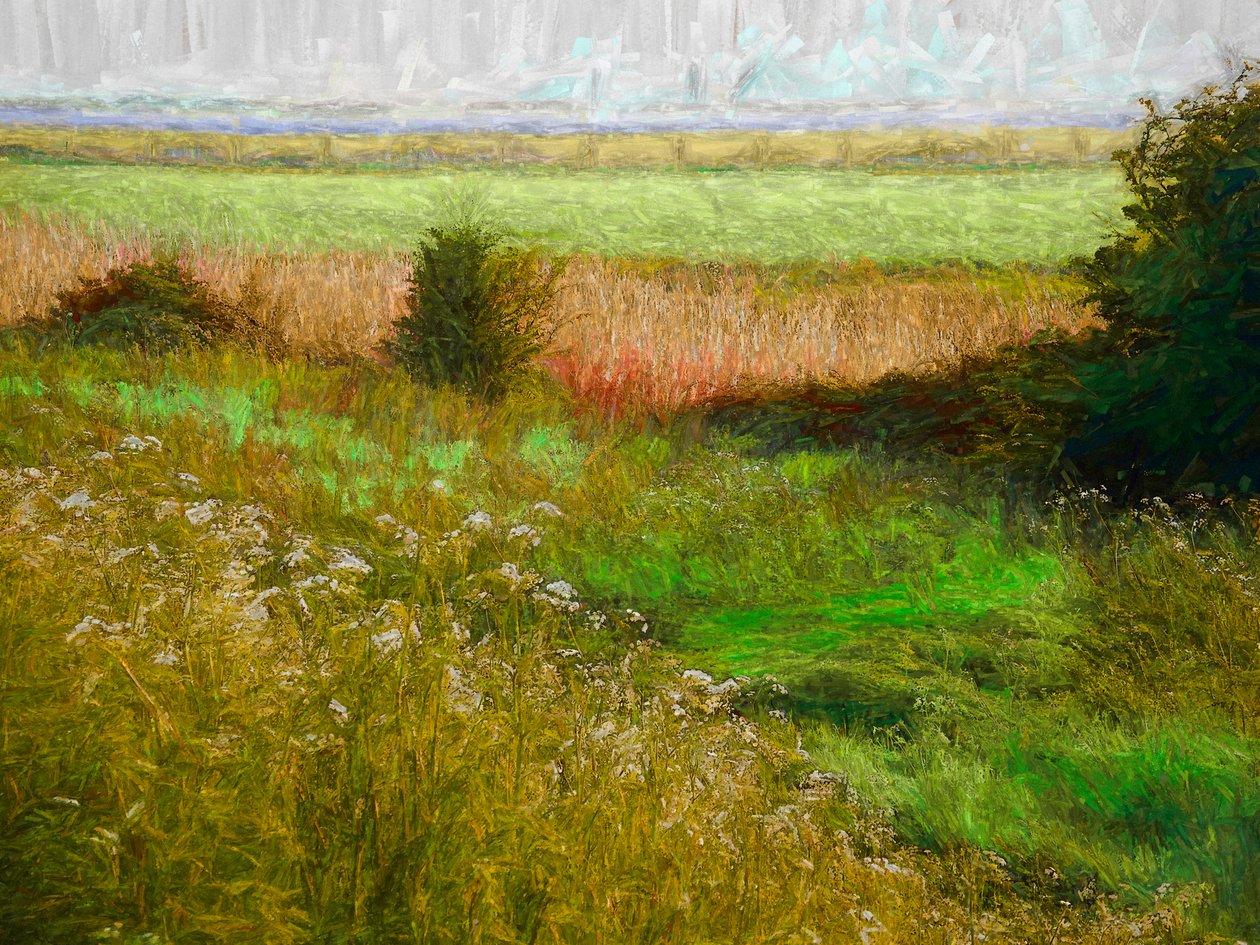 Letní louka, 2019 od Helen White
