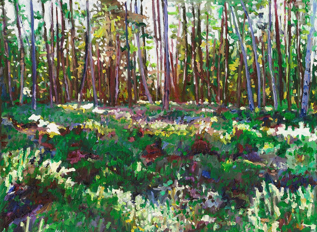 Sunlight on Heather, 2011 od Helen White