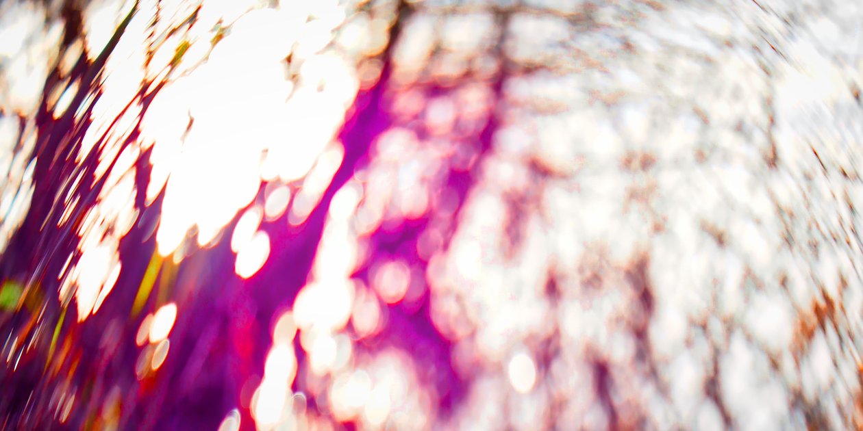 Stromová paleta, 2017, (manipulovaná fotografie) od Helen White