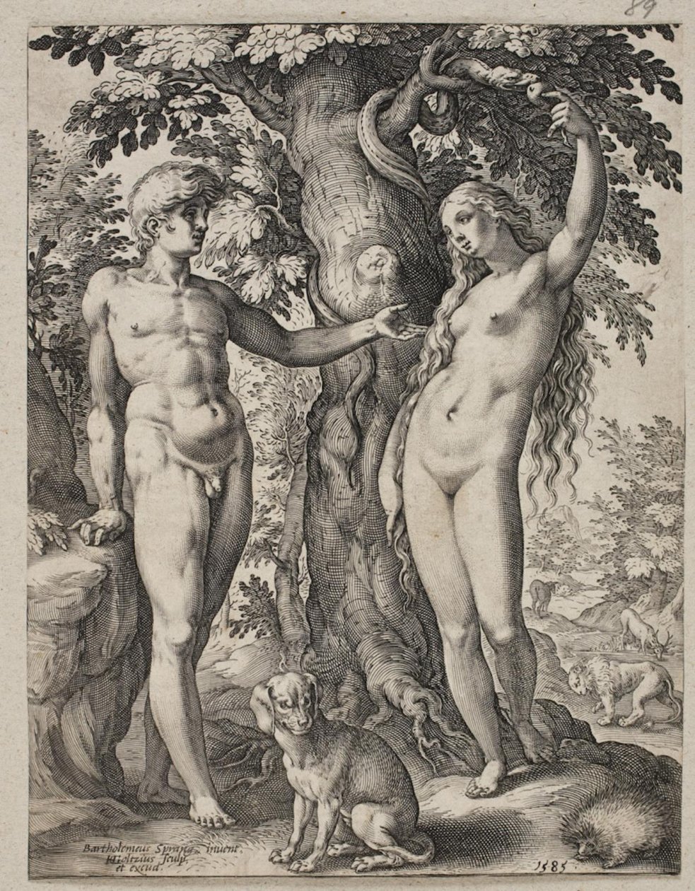 Adam a Eva od Hendrick Goltzius