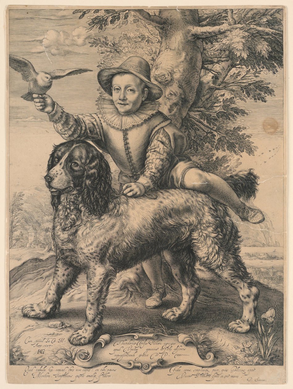 Goltziův pes od Hendrik Goltzius