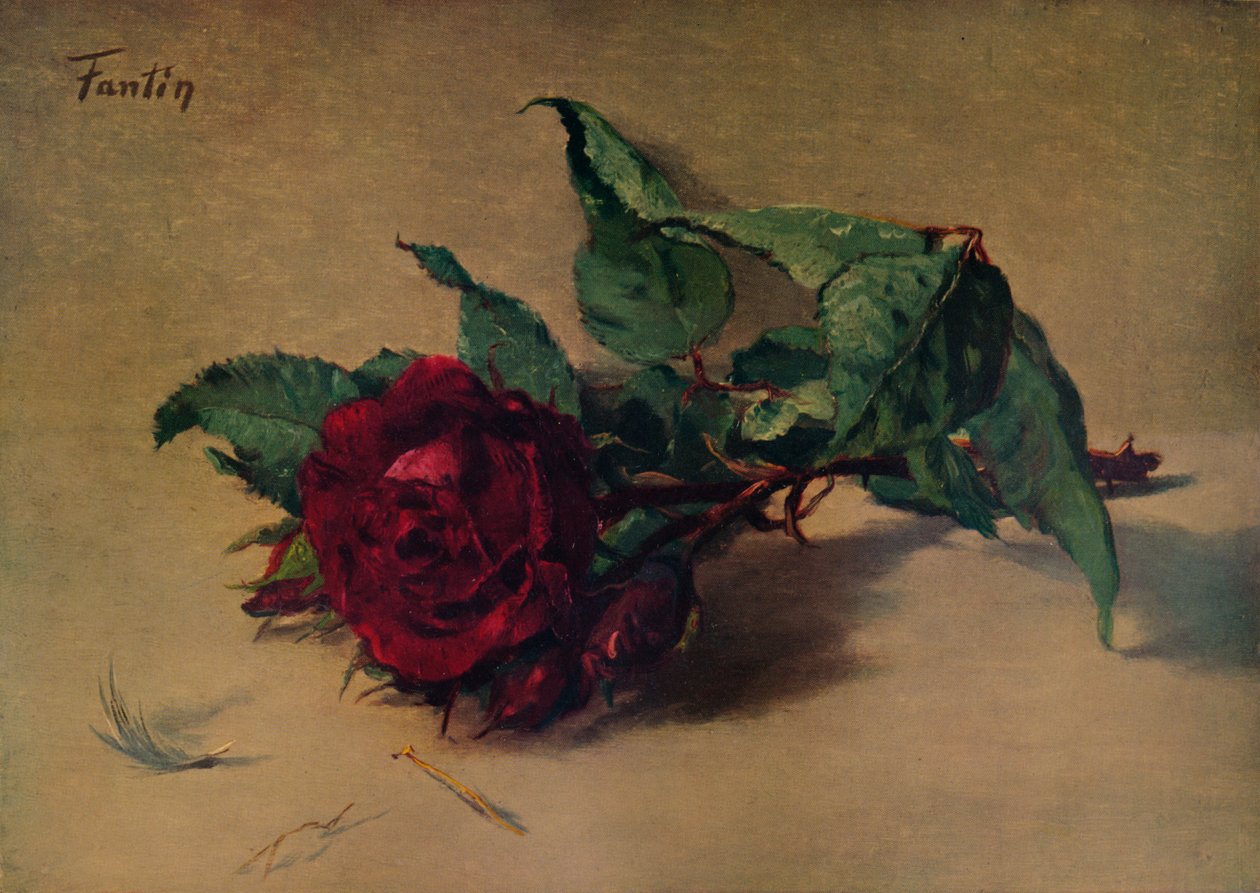 Červená růže, c1864, 1938 od Ignace Henri Jean Fantin Latour
