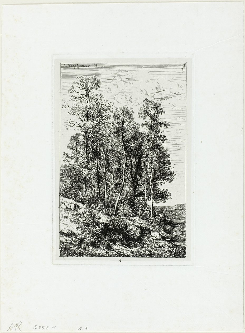 Břízy a duby od Henri Joseph Harpignies