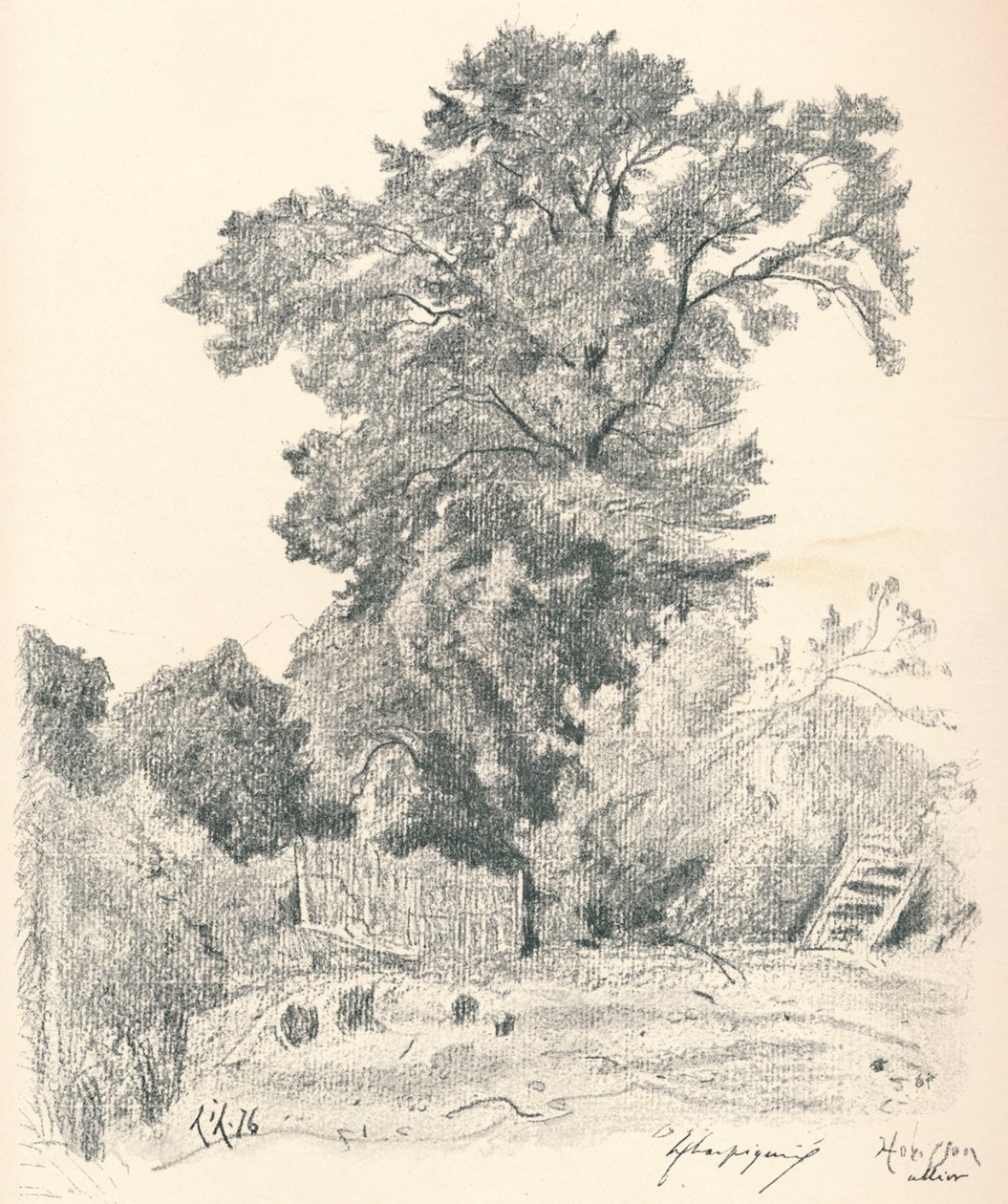 Studium stromů, c1839-1898, 1898 od Henri Joseph Harpignies