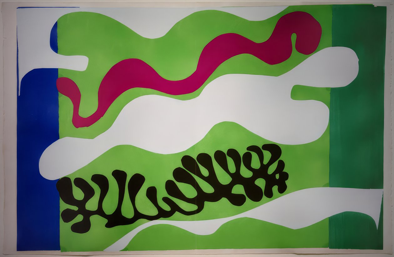 Le Lagon II / Jazz od Henri Matisse