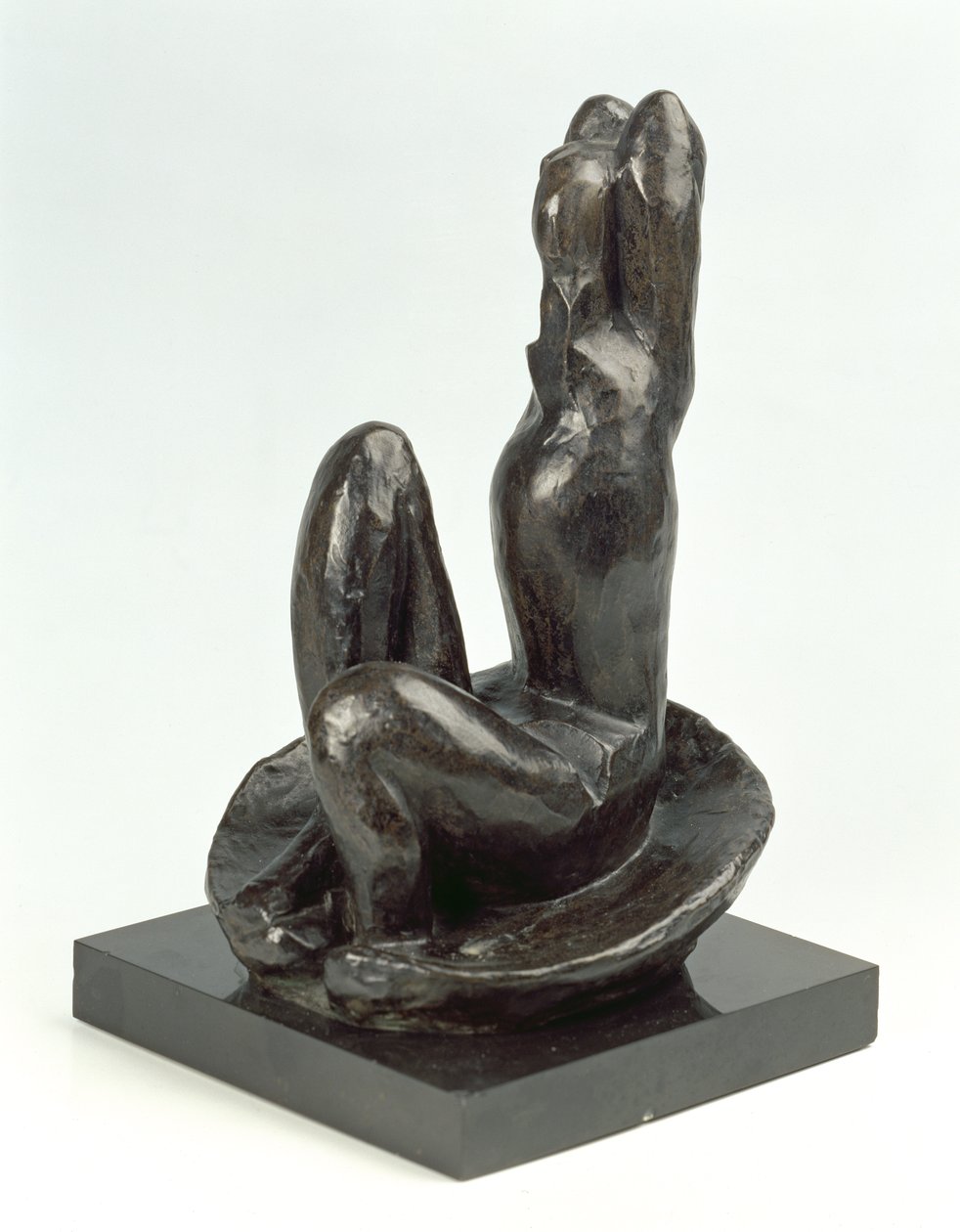 Venuše v ulitě I od Henri Matisse