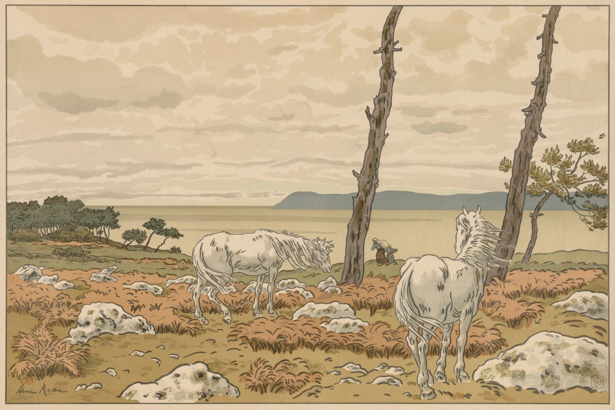 Aspekty přírody: Zátoka od Henri Rivière