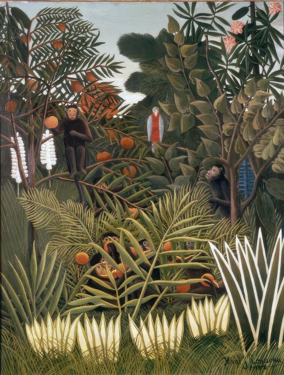 Exotická krajina s opicemi a papouškem od Henri Rousseau